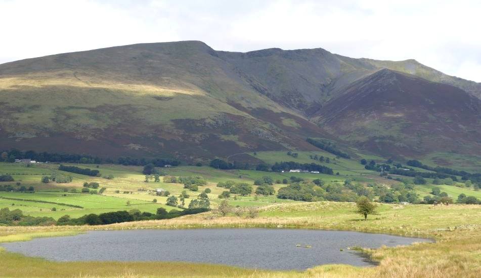 A shallow tarn in rough pasture with the long green ridge of Blencathra behind