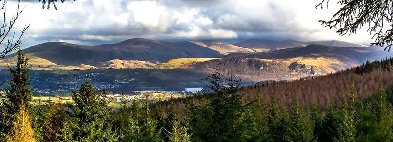 View from Whinlatter forest looking over Keswick and Derwentwater
