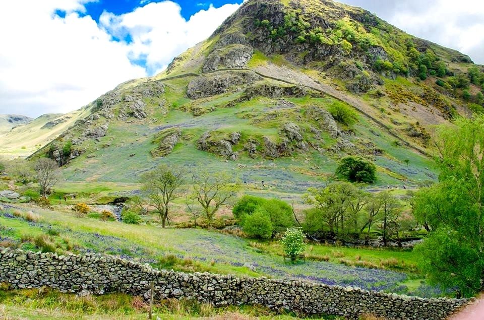 The green cone of Rannerdale Knotts rising above bluebells and a drystone wall