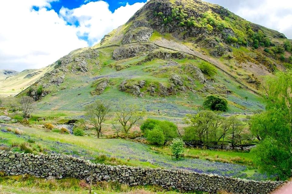 The green cone of Rannerdale Knotts rising above bluebells and a drystone wall