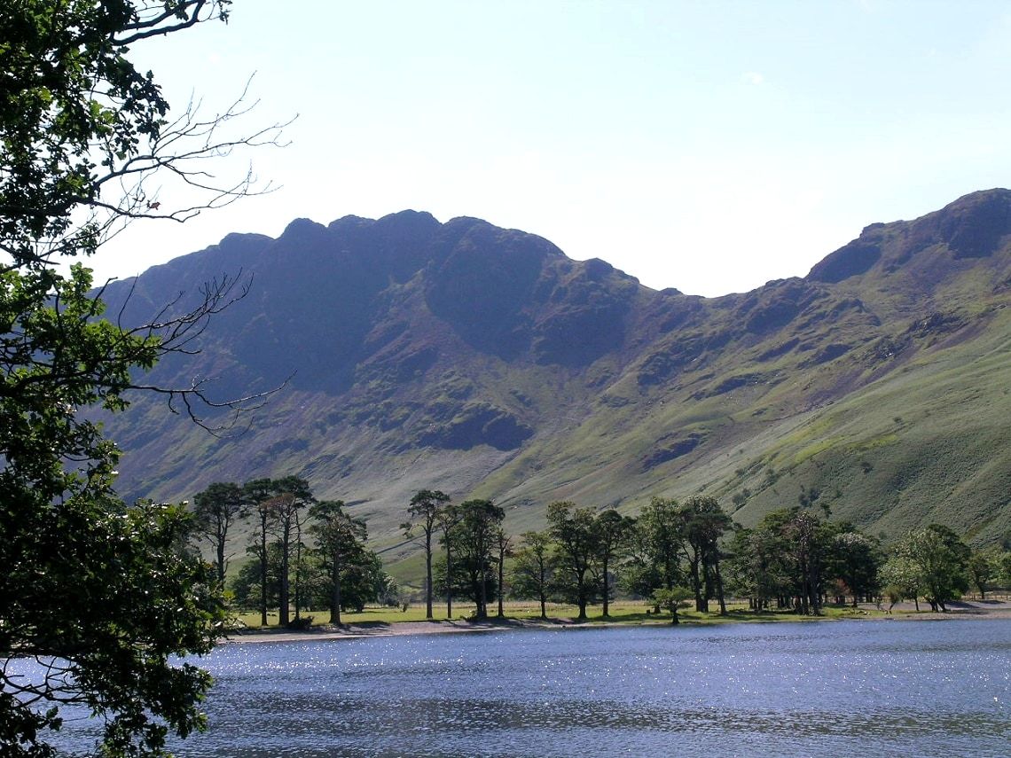 Buttermere seen past a line of tall pines with the fells rising steeply beyond