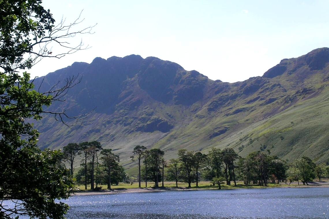 Buttermere seen past a line of tall pines with the fells rising steeply beyond
