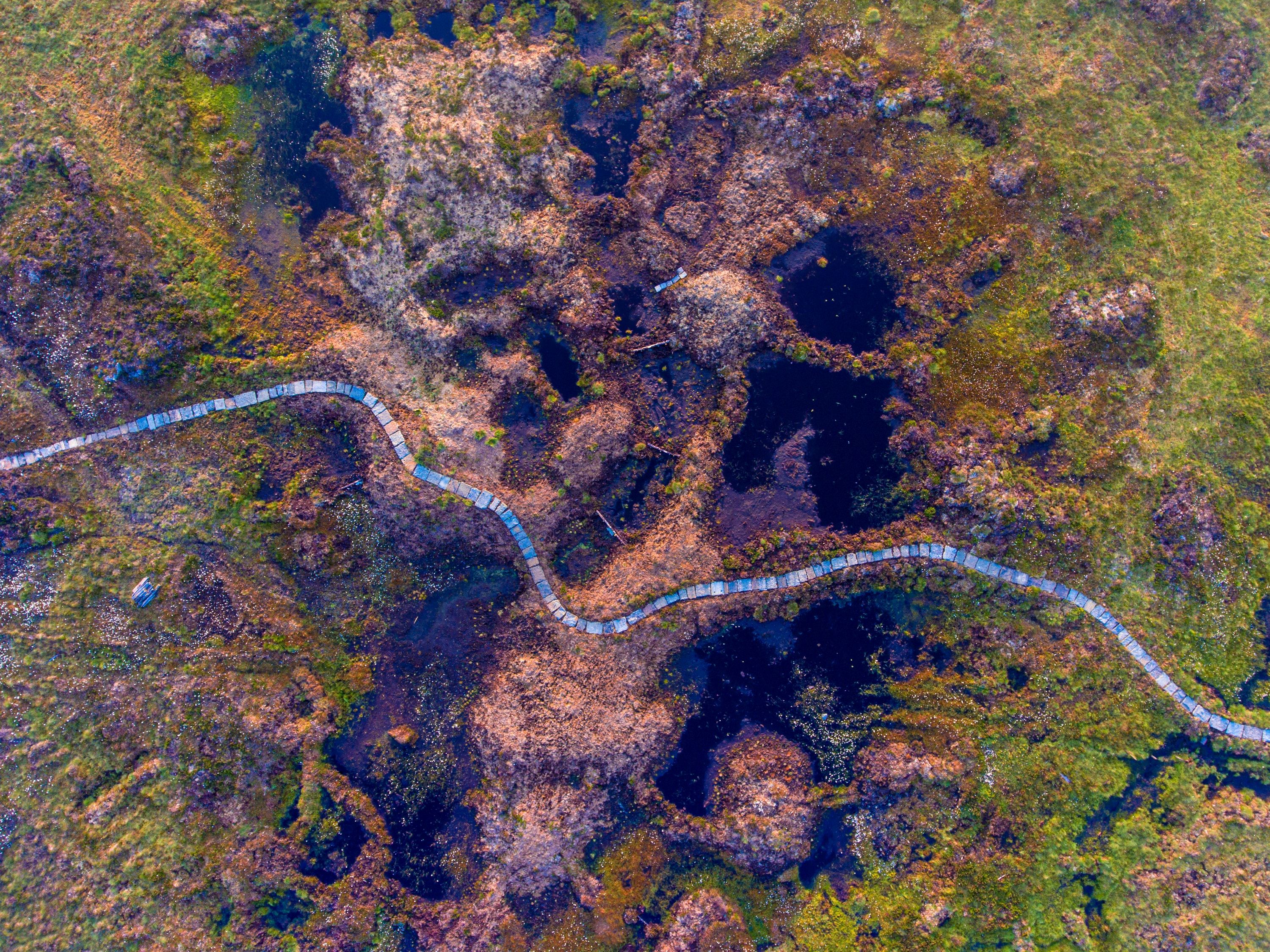 armboth fell the lake district restoration work