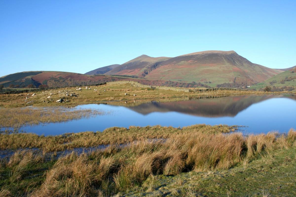 Reeds and rough grass along the edge of a tarn with a ridge of fells behind