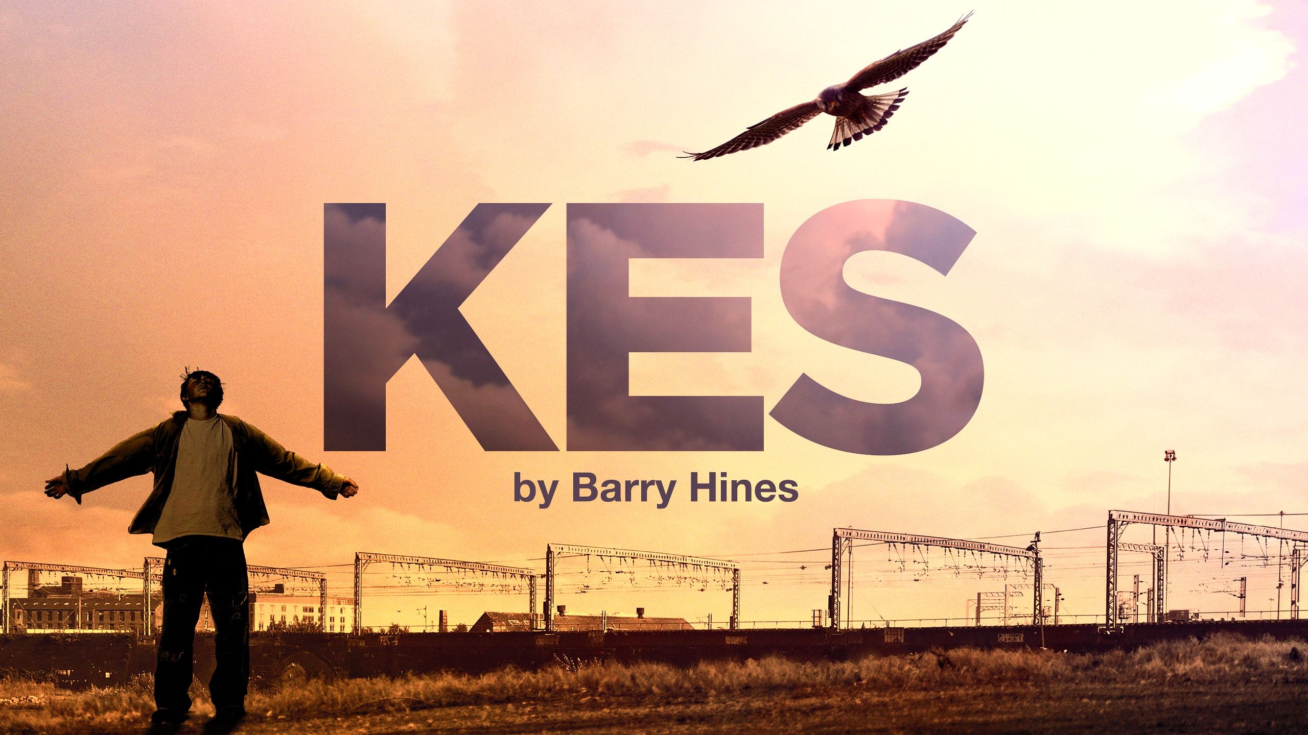 Kes poster