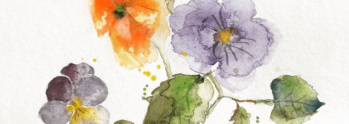 'Loose Botanicals in Watercolours' with an optional hint of Christmas ...with Lyn Evans