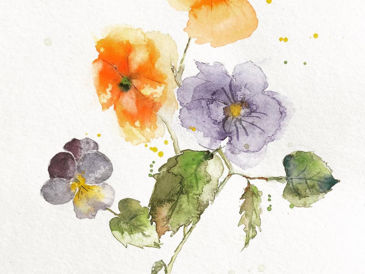 'Loose Botanicals in Watercolours' with an optional hint of Christmas ...with Lyn Evans