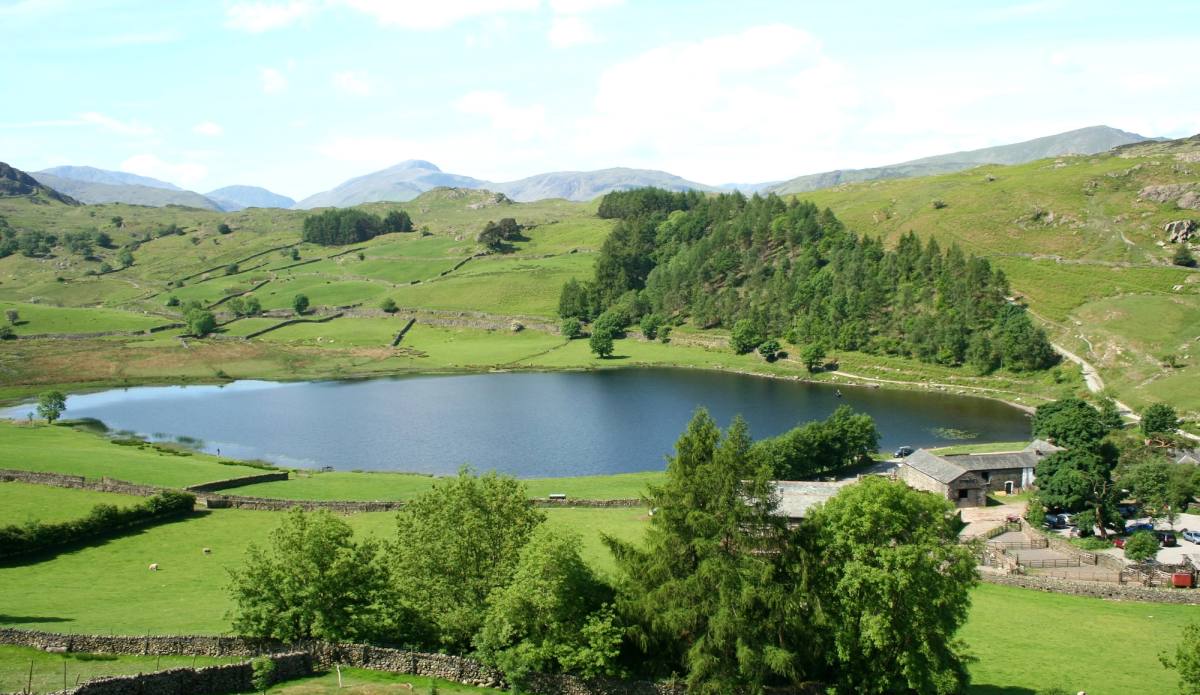 A tarn lying in green hedged fields with the fells rising beyond
