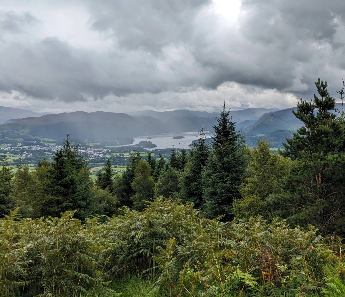 a view of keswick, derwentwater and the fells through pine trees in a woodland clearing