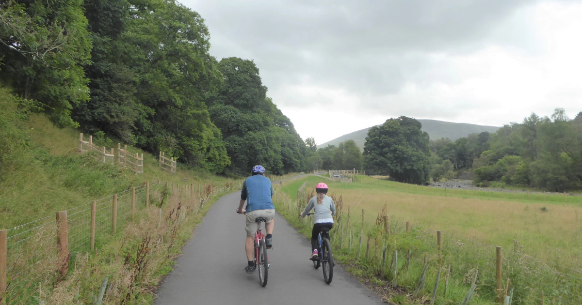 Children riding bikes along a raised timber boardwalk through the trees