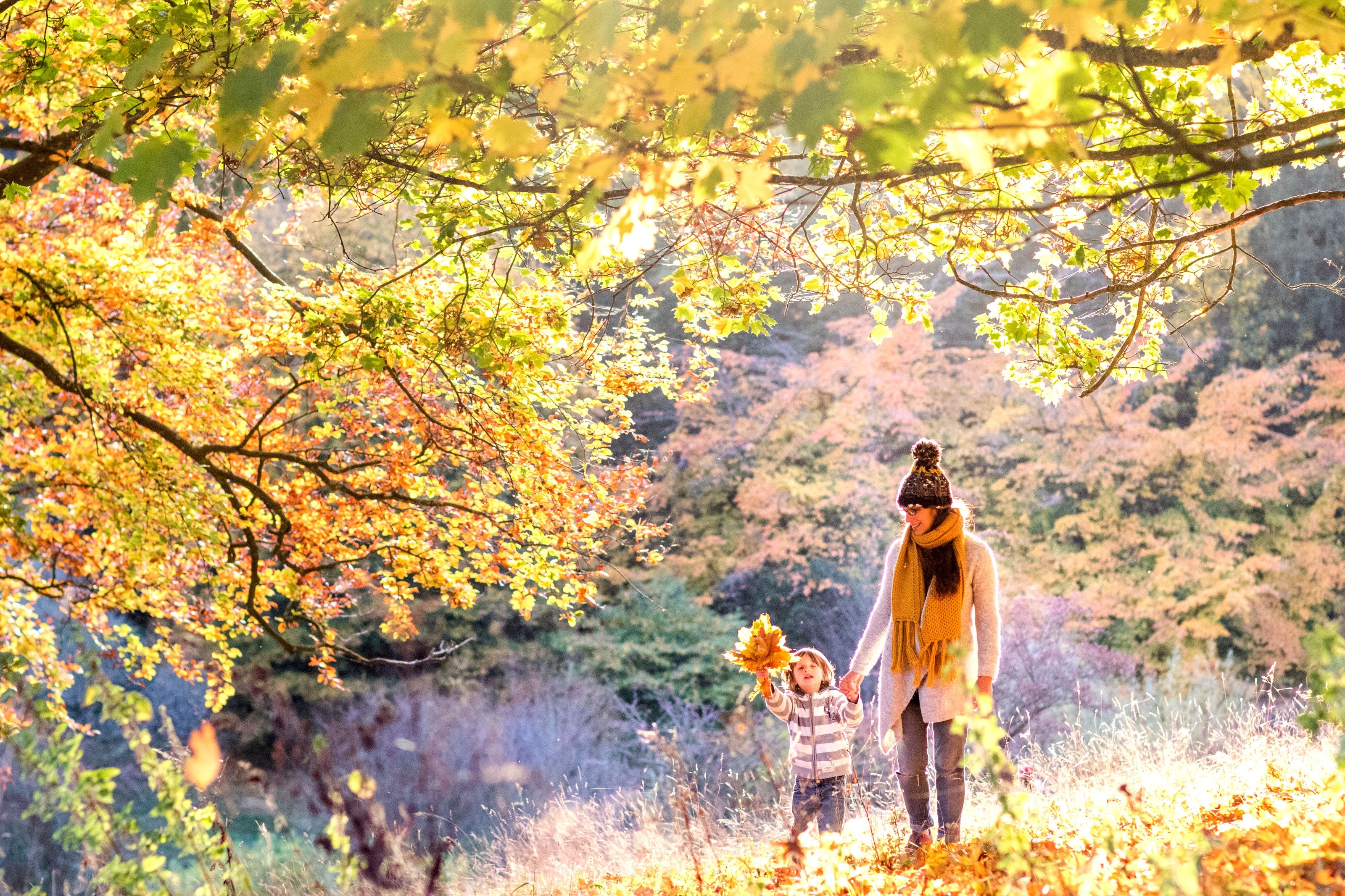 Autumn woodland scene with mother and small child. Forestry England/Crown copyright