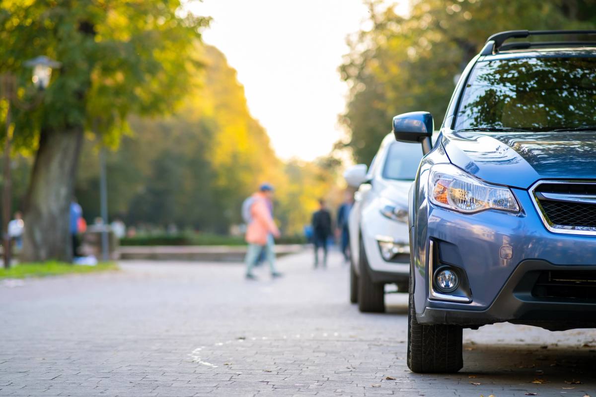 Cars parked along a leafy street