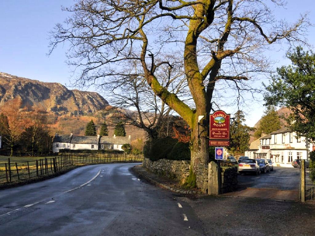 A village road curving past a pub beneath a large bare oak