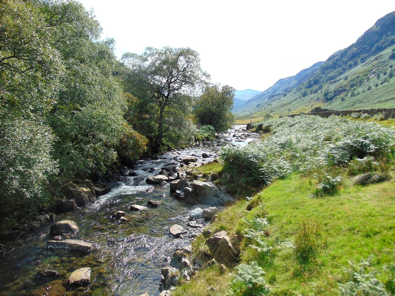 A beck tumbling over boulders down a wooded valley with crags above