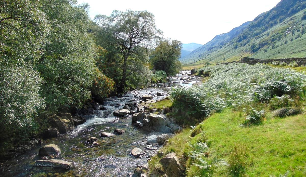 A beck tumbling over boulders down a wooded valley with crags above