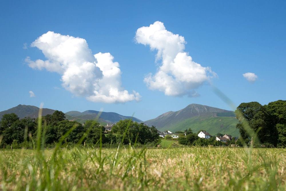 View across a field towards Portinscale