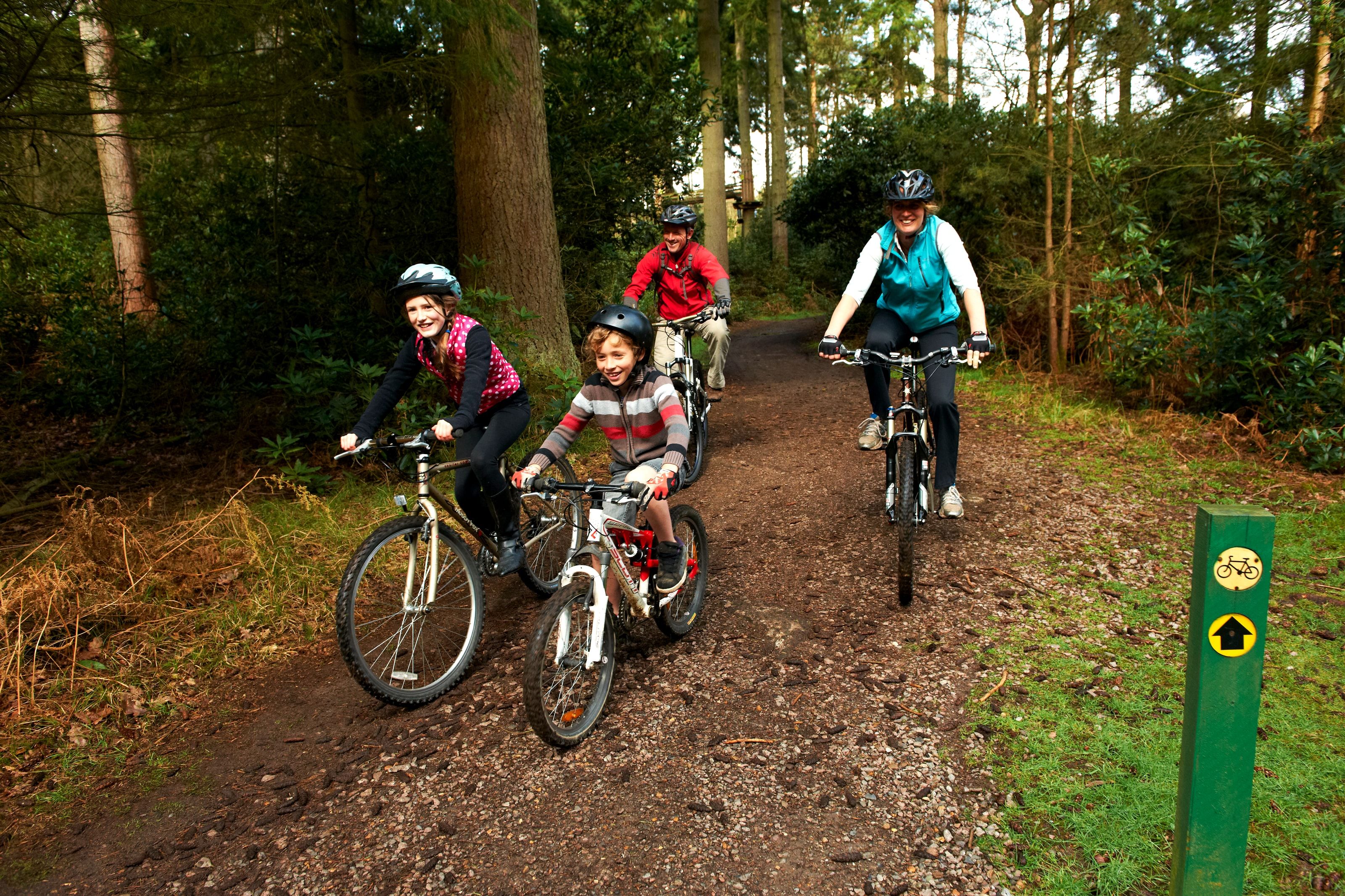 FAmily cycling in the forest. credit Forestry England/Crown copyright