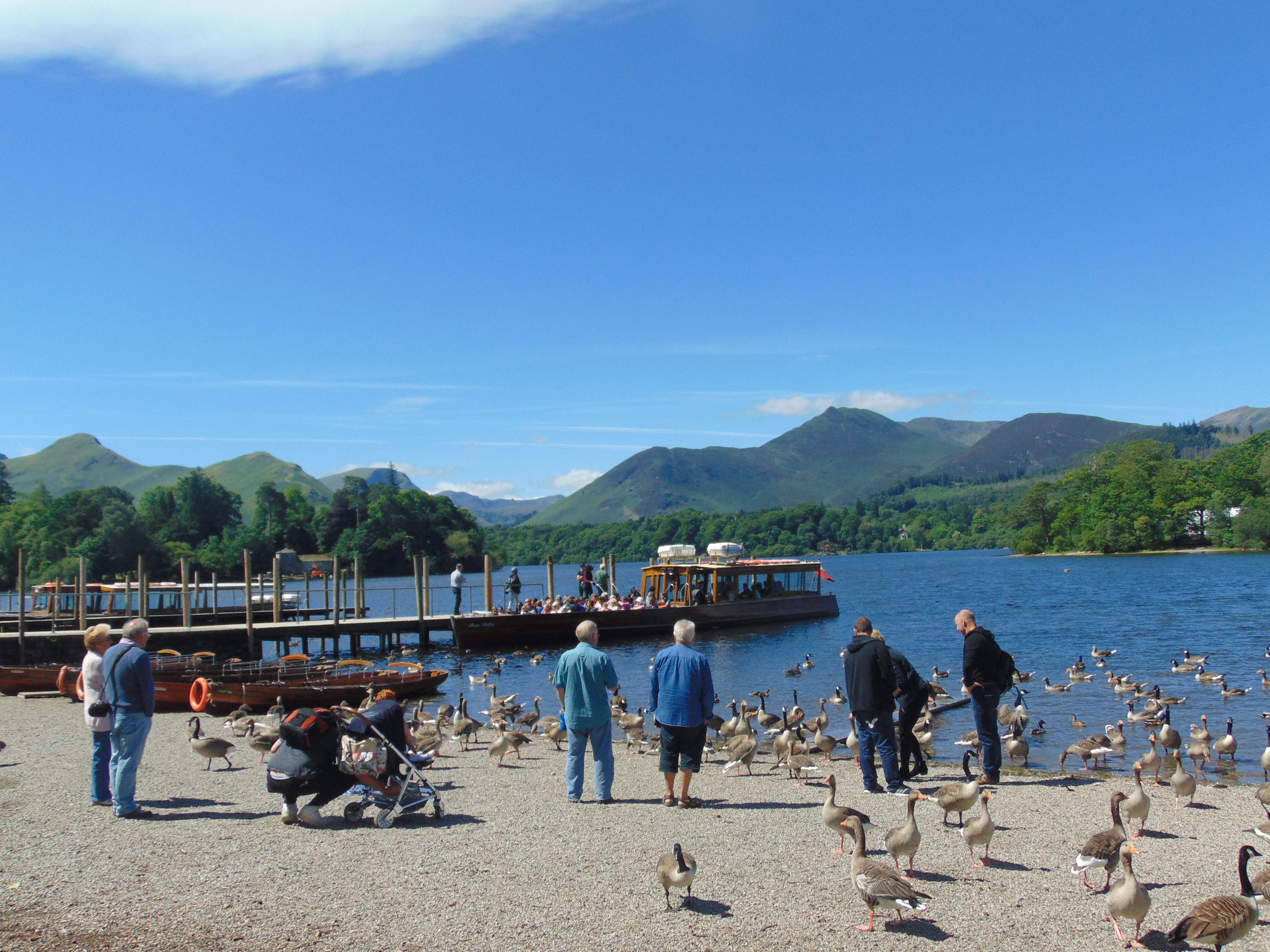 people ducks and geese on the shores of derwentwater 