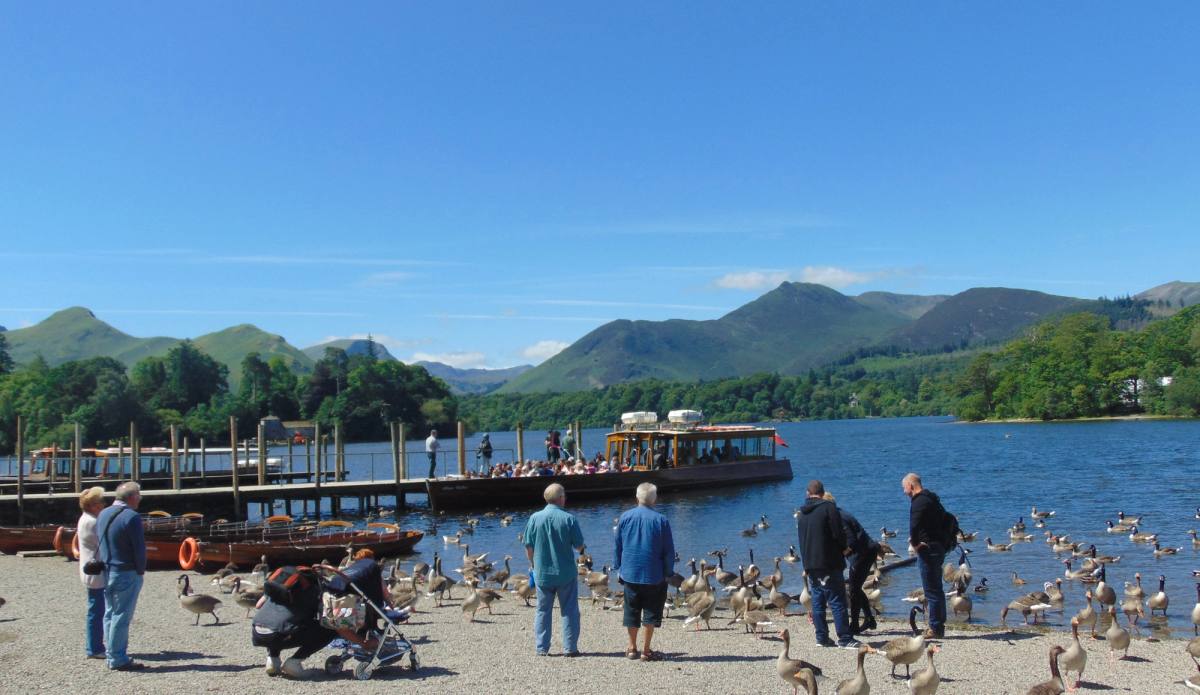 people ducks and geese on the shores of derwentwater