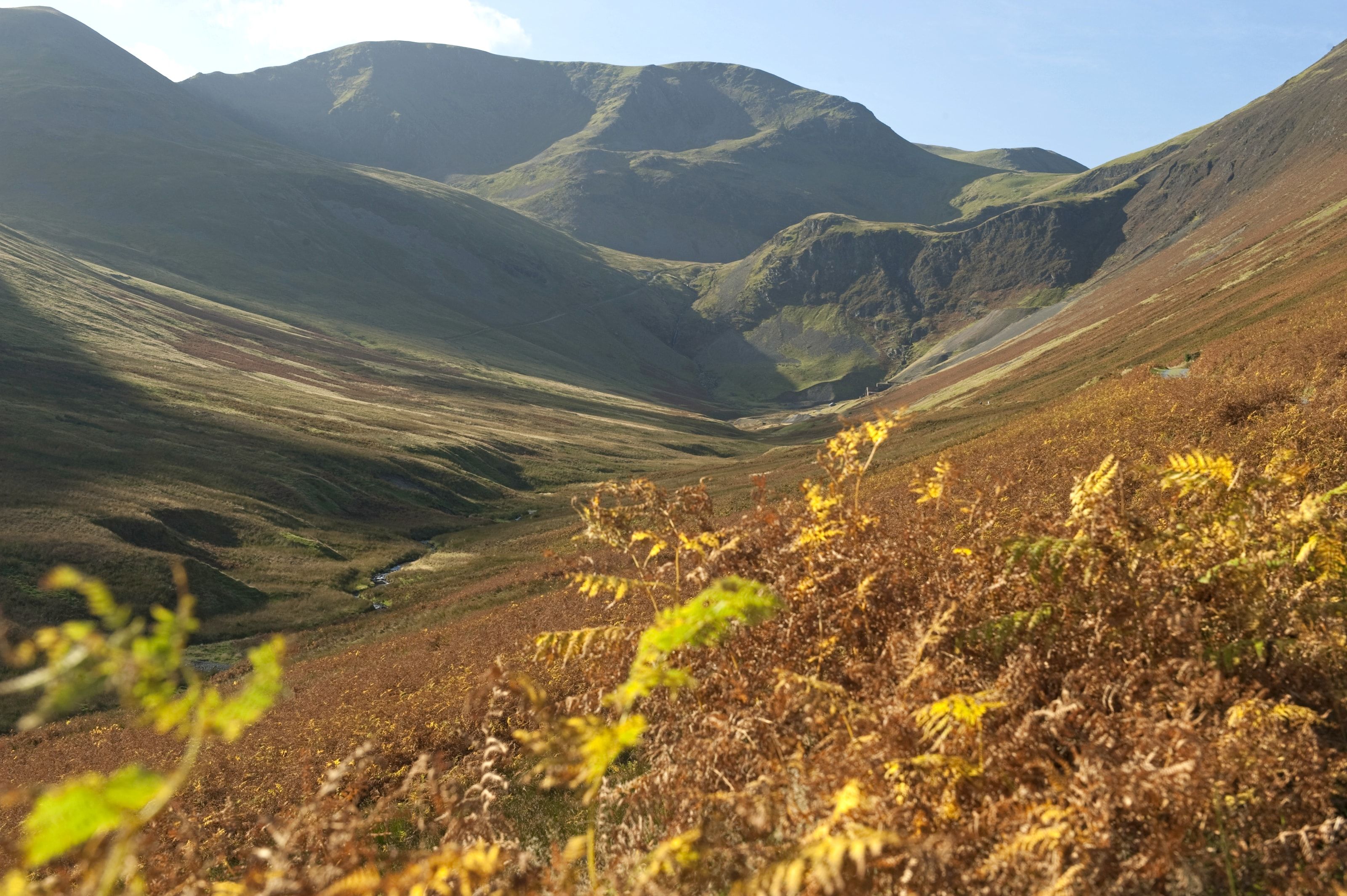Autumn in Borrowdale in the Lake District.