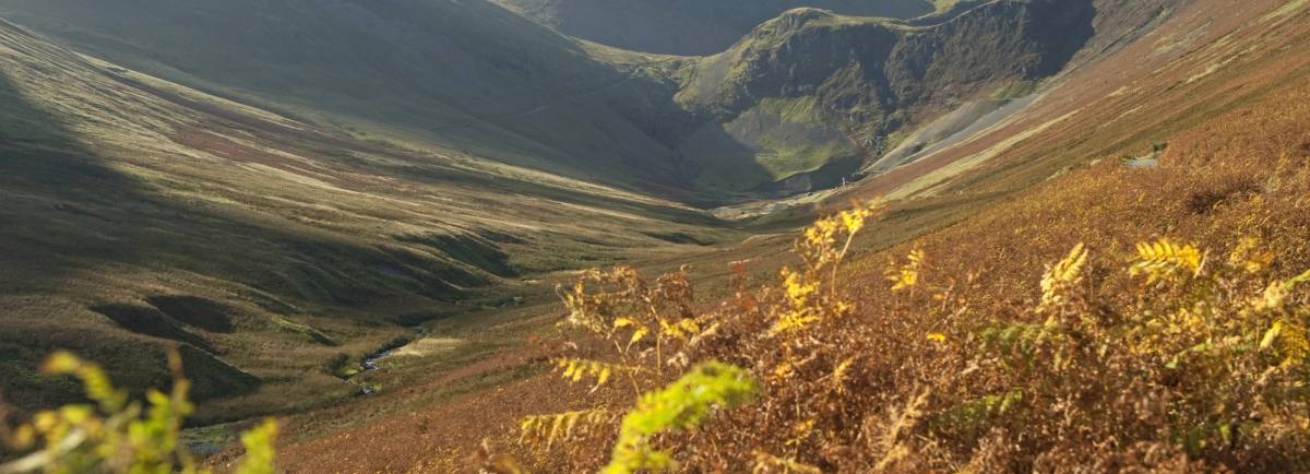 Autumn in Borrowdale in the Lake District.