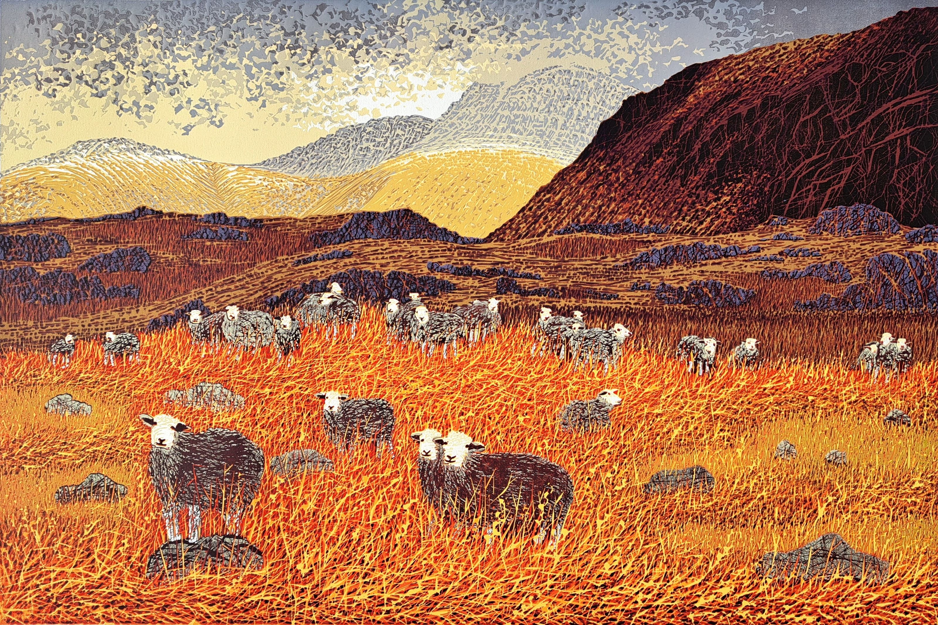 mark pearce herdwicks mountain the lake district
