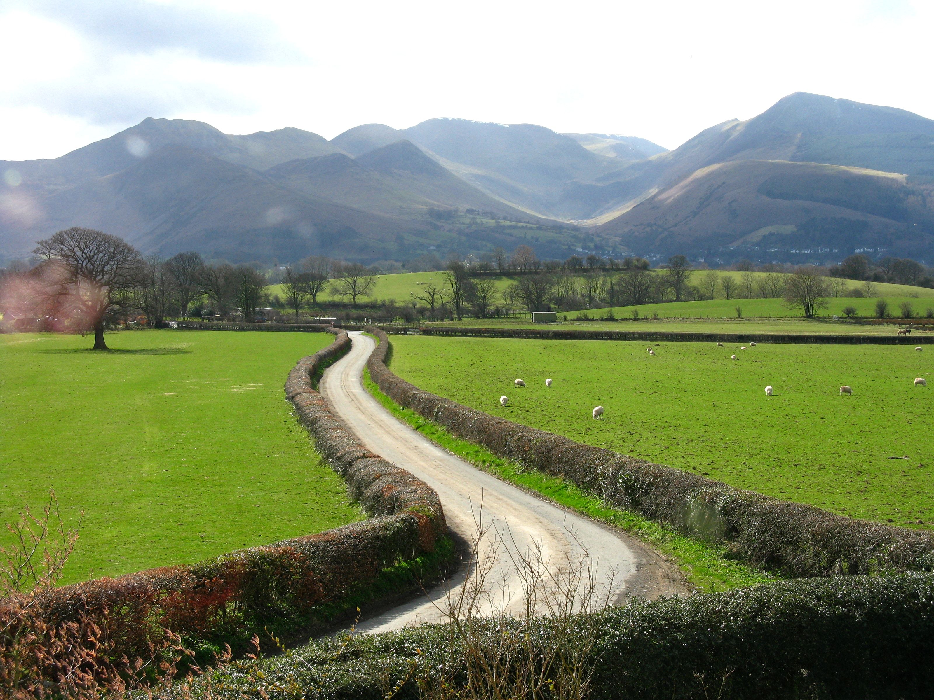 A single-track lane between drystone walls running straight towards the fells