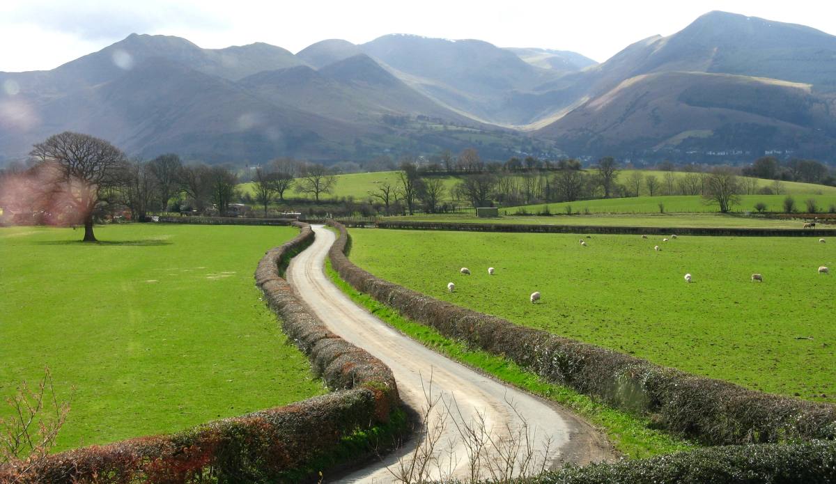 A single-track lane between drystone walls running straight towards the fells
