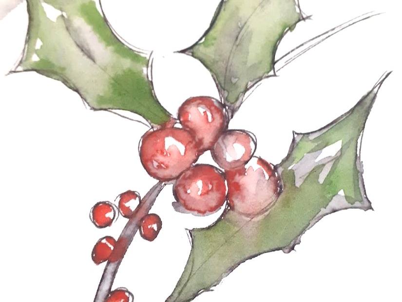 Discovering 'Pen & Wash' - Christmas themed - with Margaret Jarvis