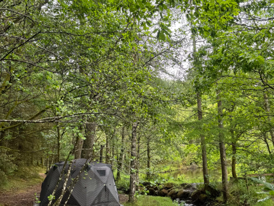 Wild Sauna & Forest Plunge