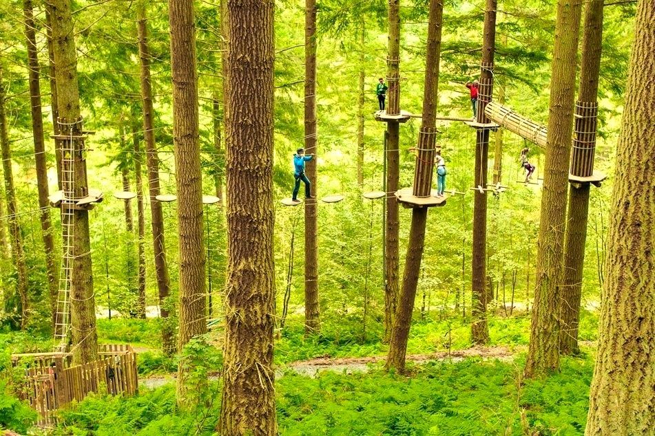 Go Ape hig ropes course