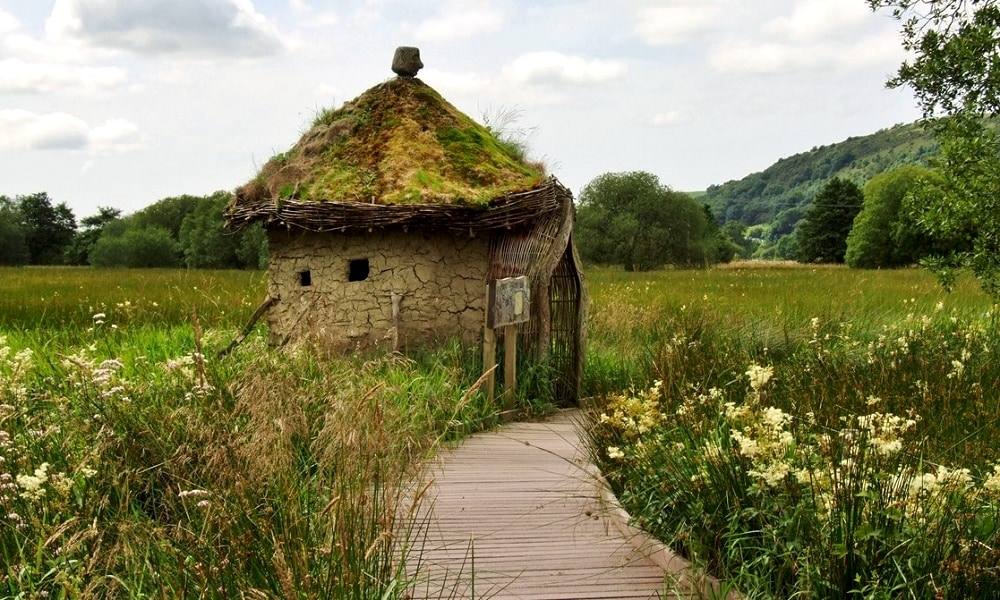 A turf-roofed bird hide at the end of a boardwalk through meadow grass and flowers