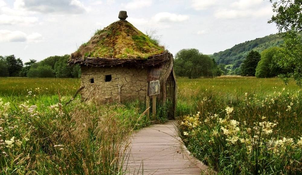 A turf-roofed bird hide at the end of a boardwalk through meadow grass and flowers