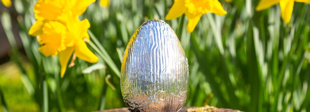 Easter egg among the daffodils