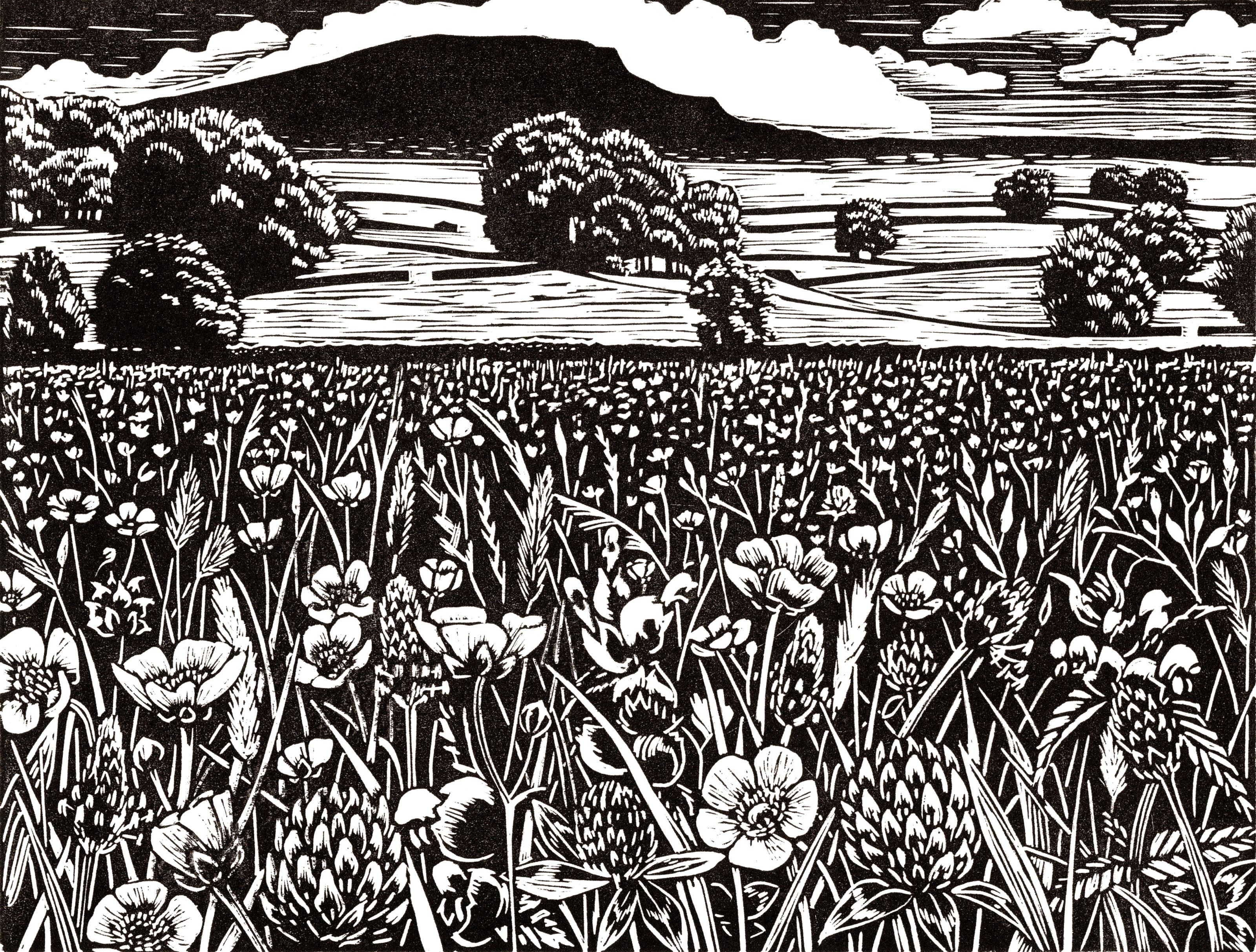 hester cox painting