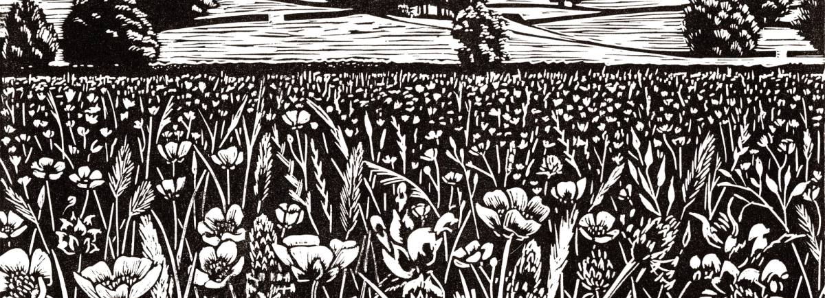 hester cox painting