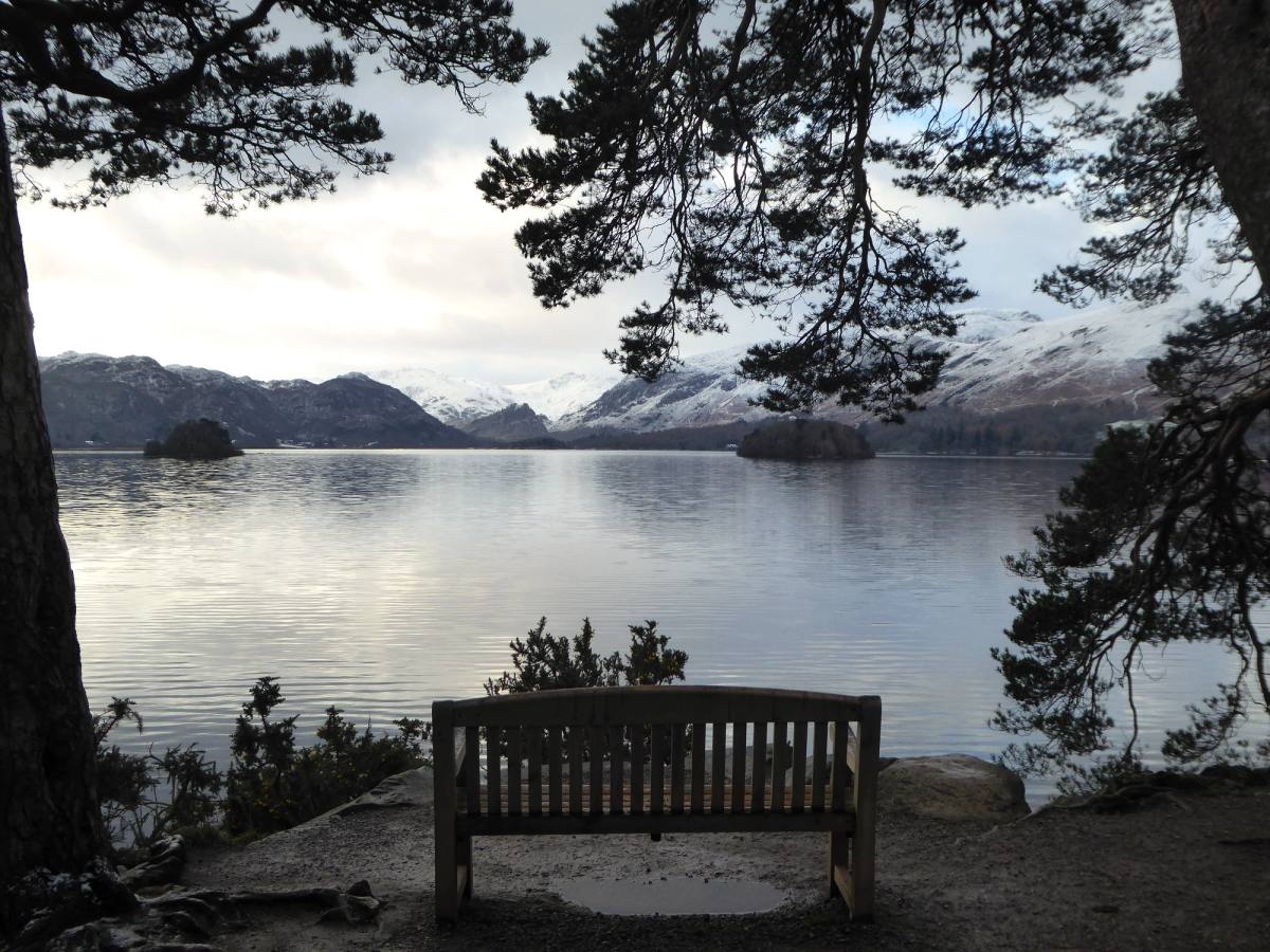 A bench under overhanging pines looking down the length of Derwentwater
