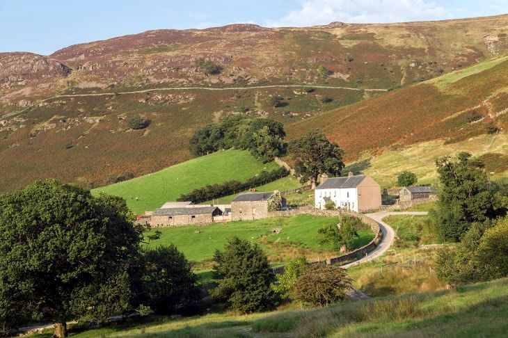 ashness farm
