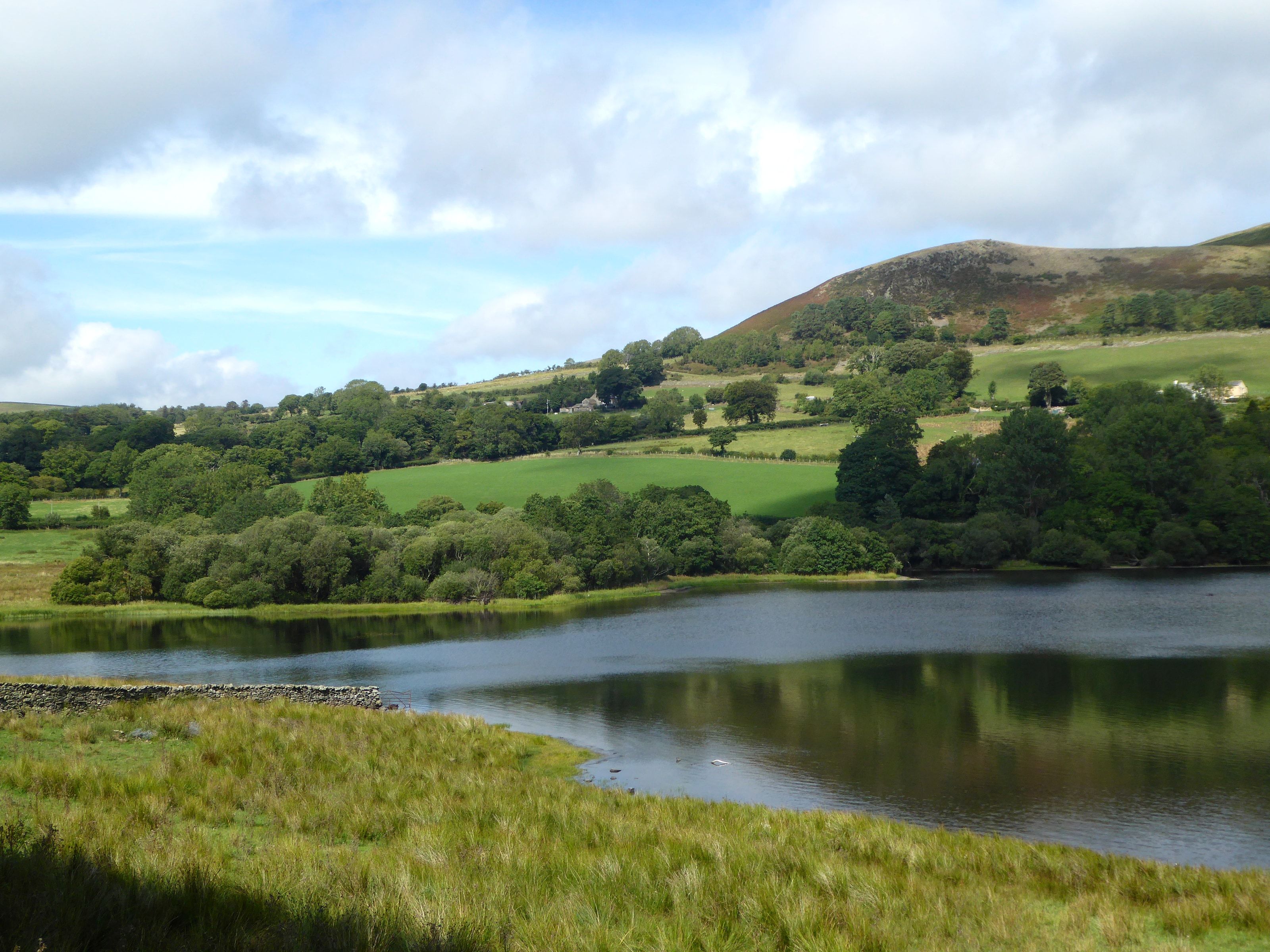 Green fields and hedgerows dropping to Crummock Water with fells beyond