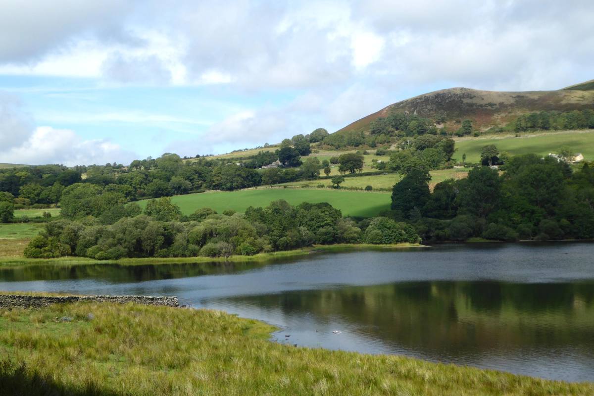 Green fields and hedgerows dropping to Crummock Water with fells beyond