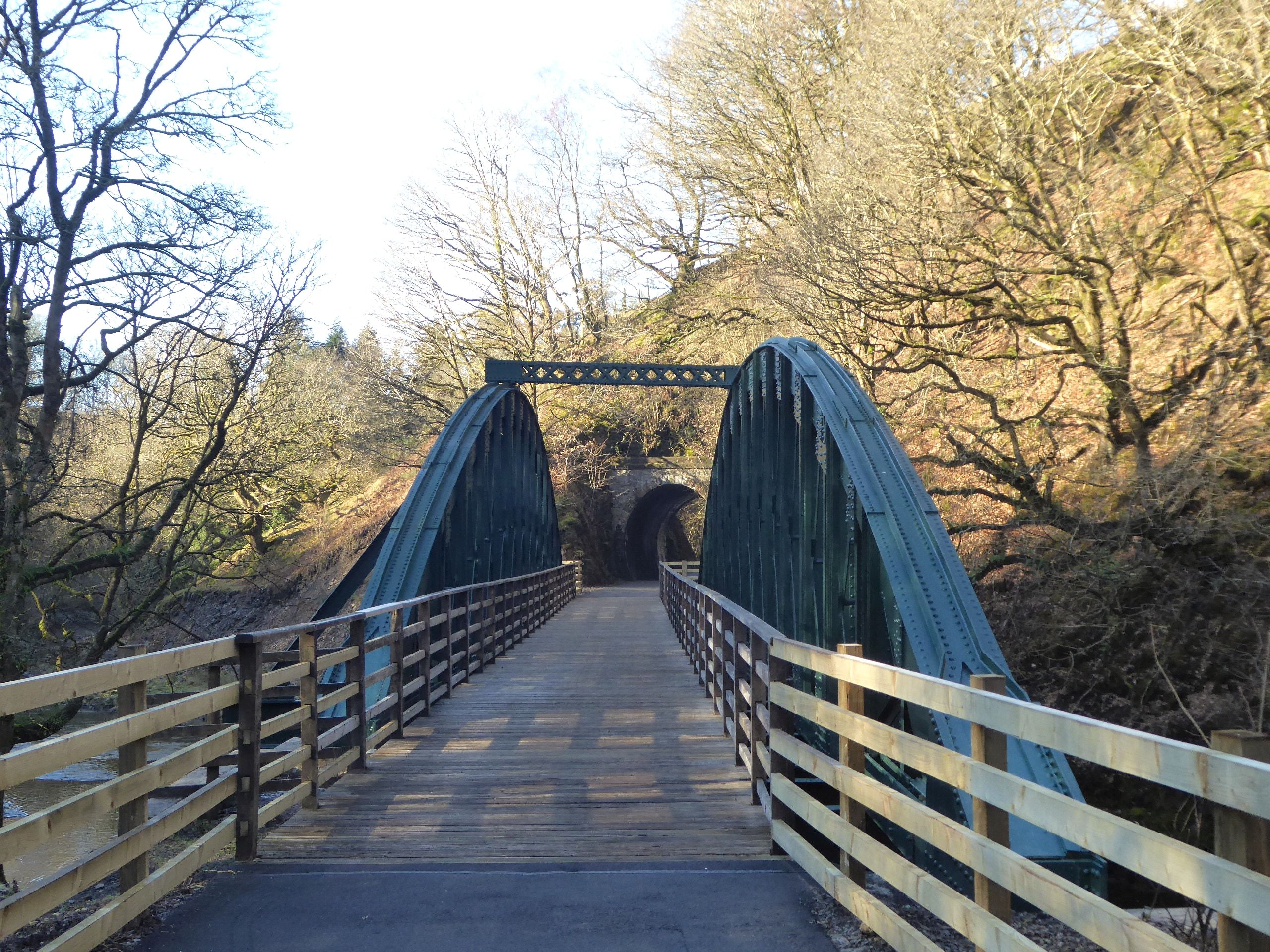A blue iron truss bridge carrying the boardwalk path across the river