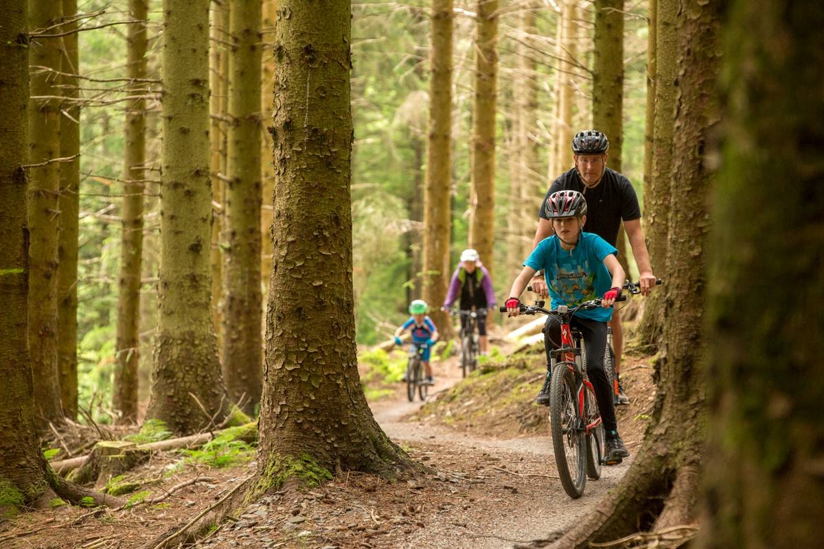 A family riding single file along a narrow trail between tall conifers
