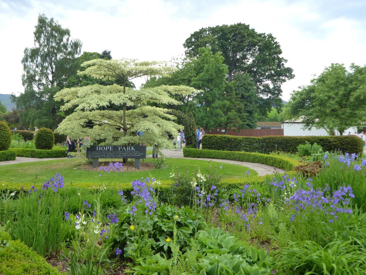 Clipped trees and deep flower borders in the gardens at Hope Park