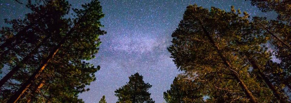 Dark skies walk