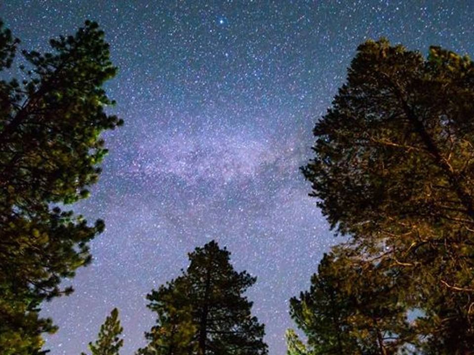 Dark skies walk