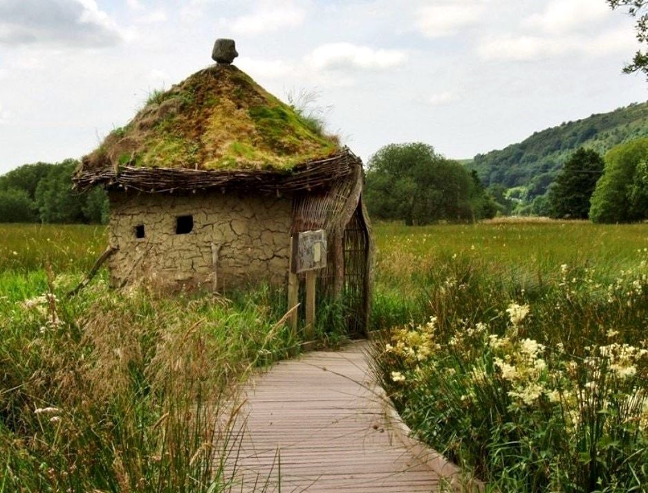 A boardwalk through summer meadow leading to a small turf-roofed bird hide