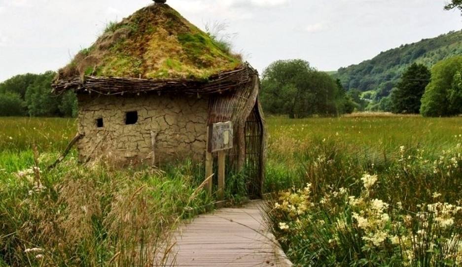A boardwalk through summer meadow leading to a small turf-roofed bird hide
