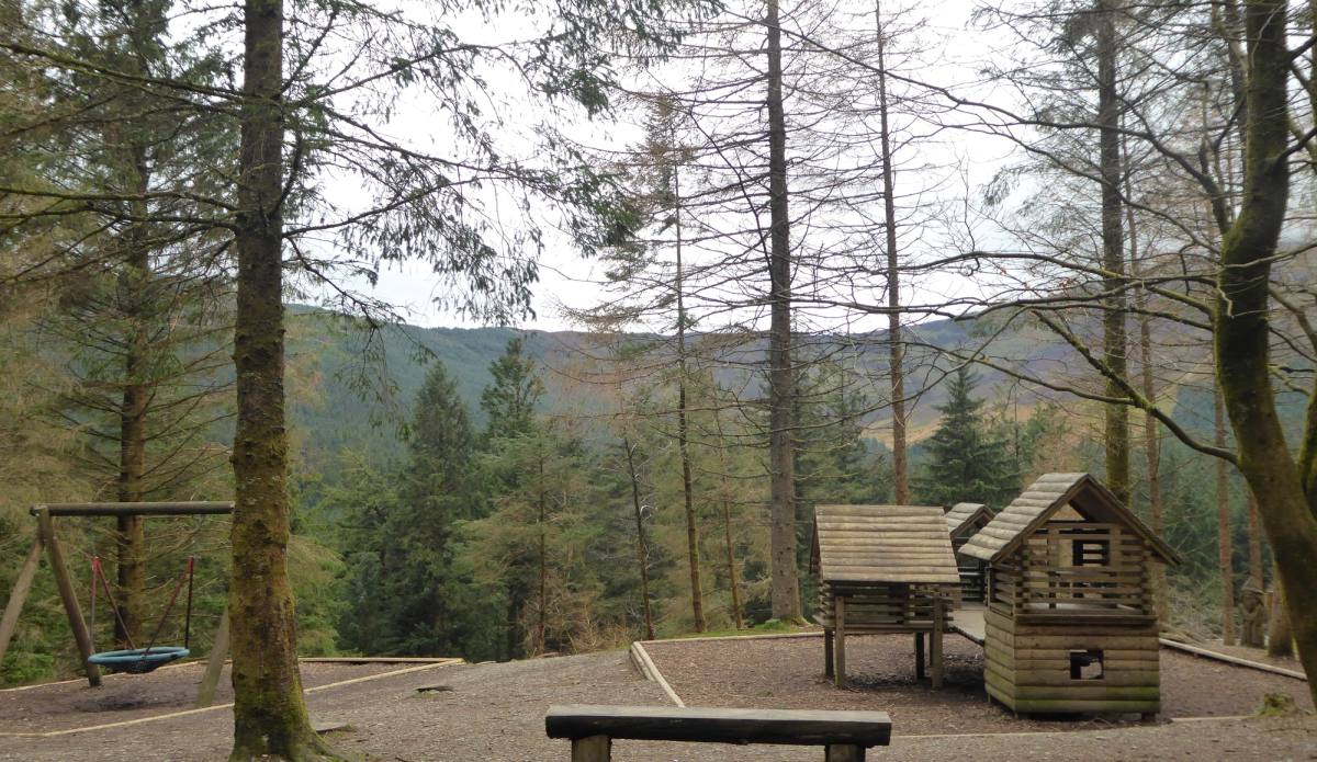 A timber play den and picnic benches in a clearing among tall forest conifers