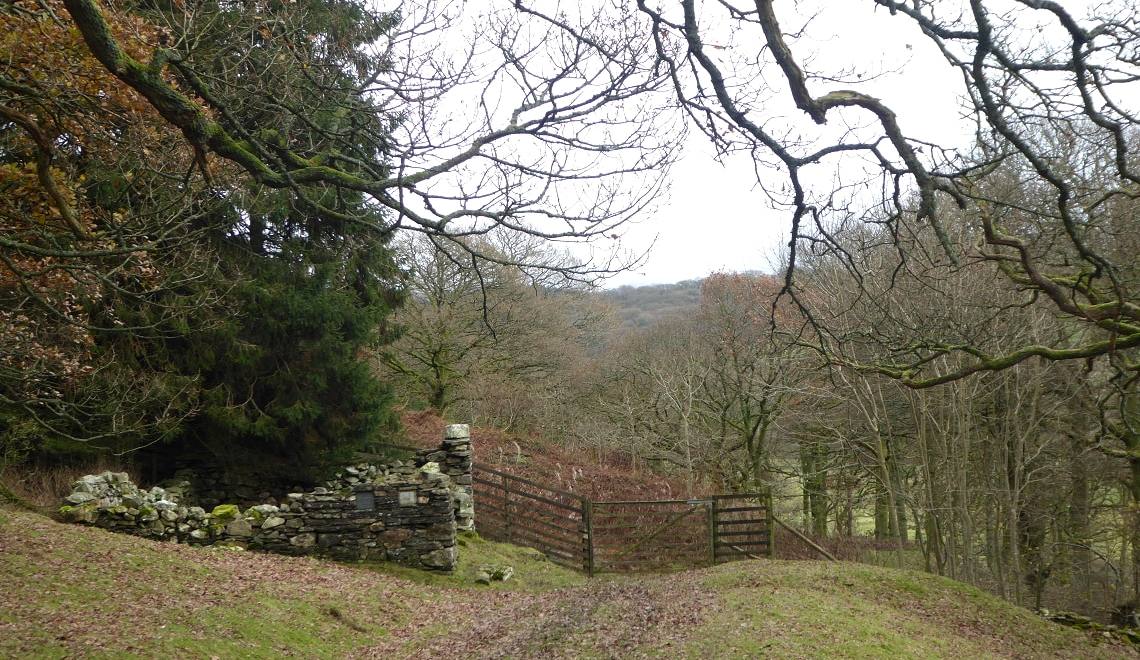A gate in a drystone wall among bare wind-shaped trees on the open fell