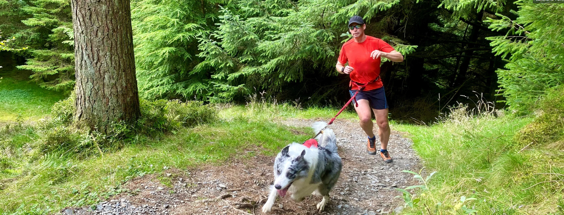 Lakeland Paws canicross series